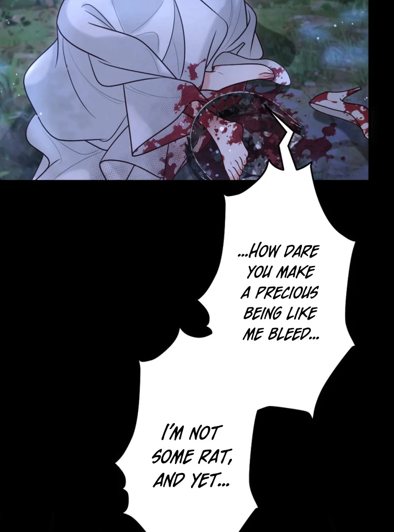 ch 39 49