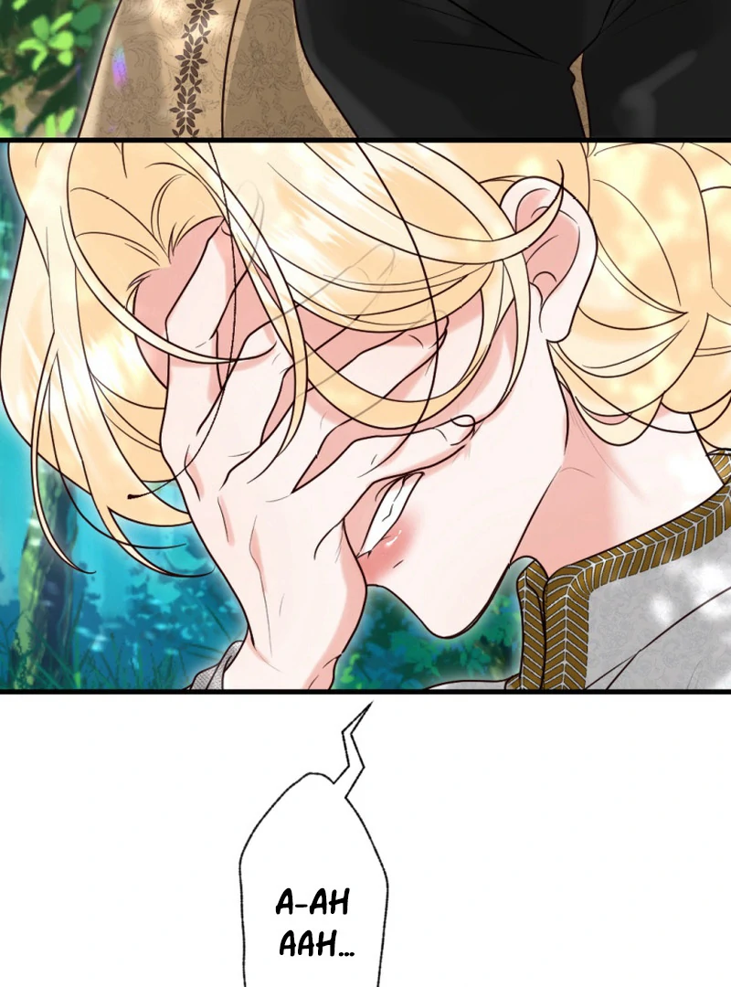 ch 40 31