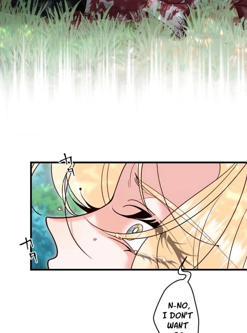 ch 40 38