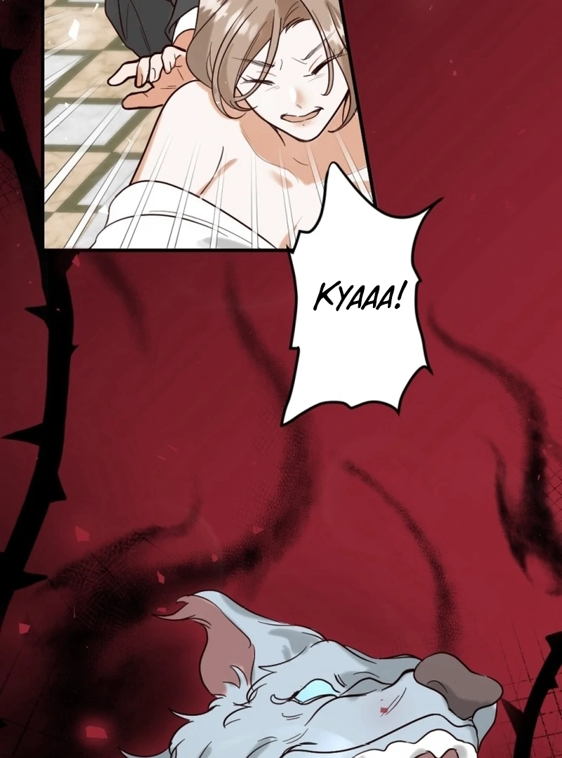 ch 9 15
