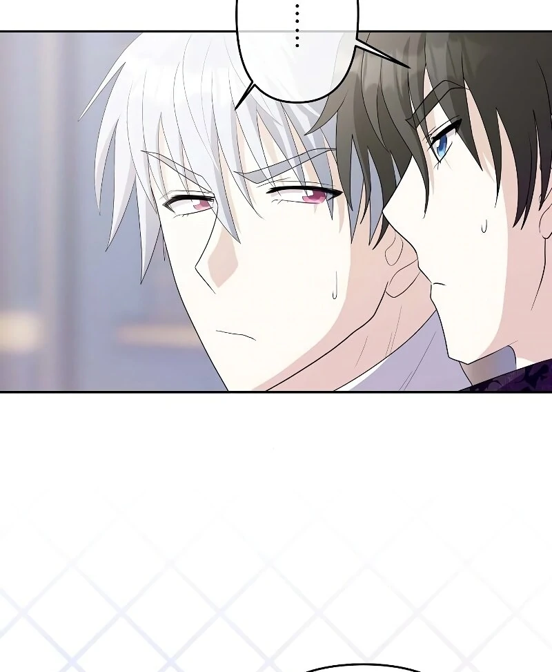 ch 7 17