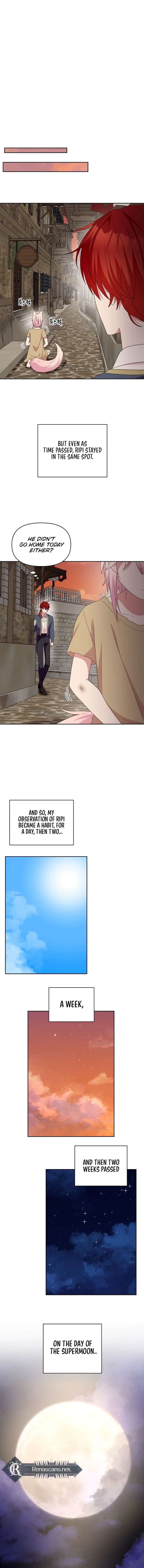 ch 36 11