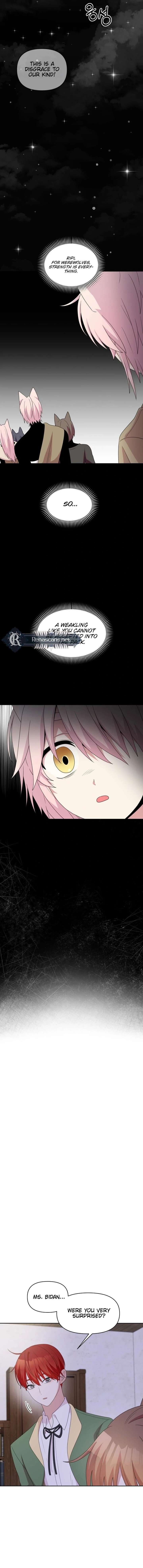 ch 36 2