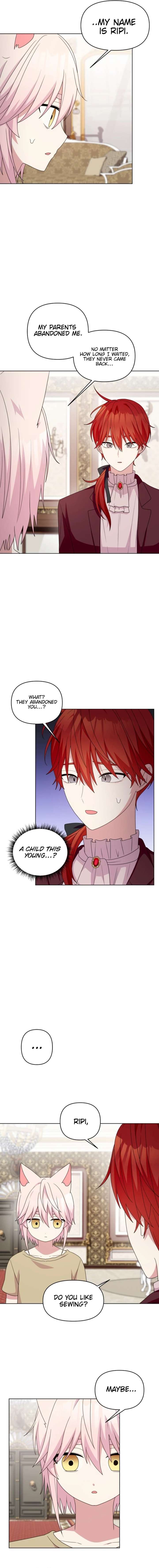 ch 37 6