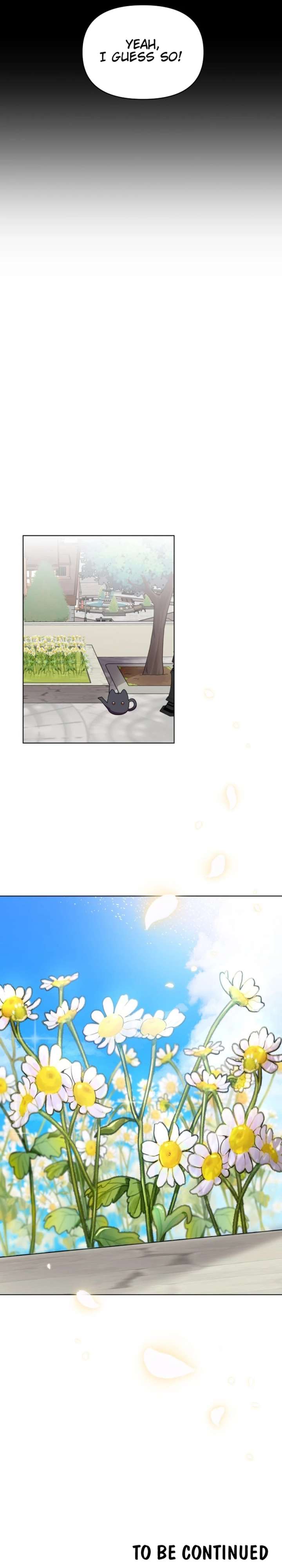 ch 38 15