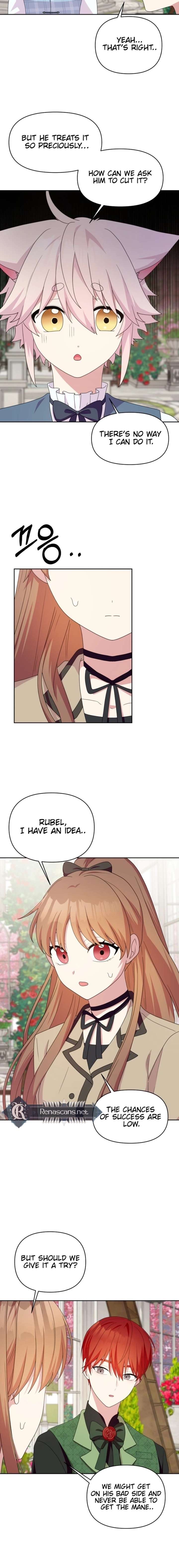 ch 41 13