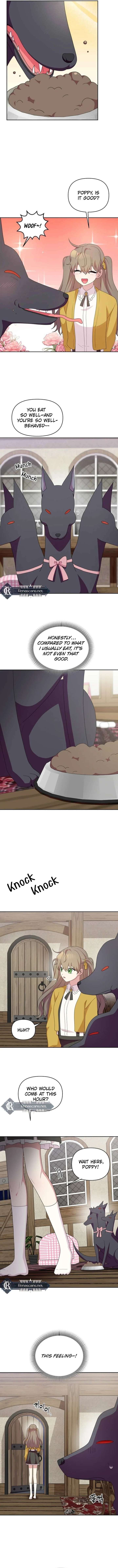 ch 45 6