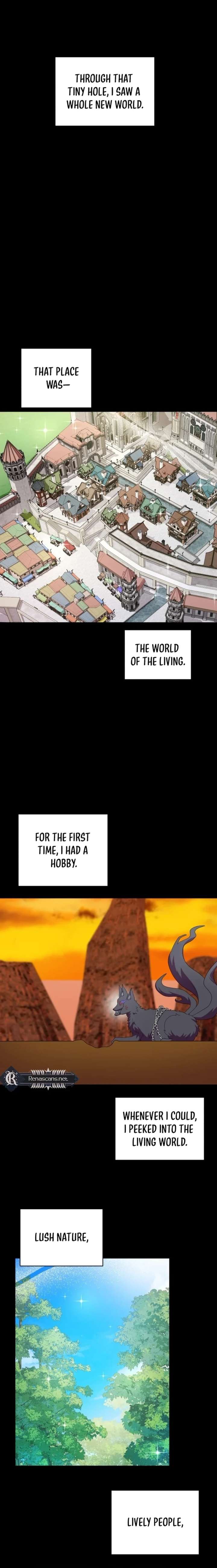 ch 46 6