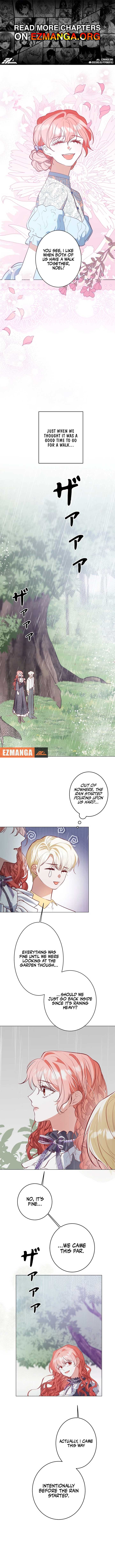 ch 23 1