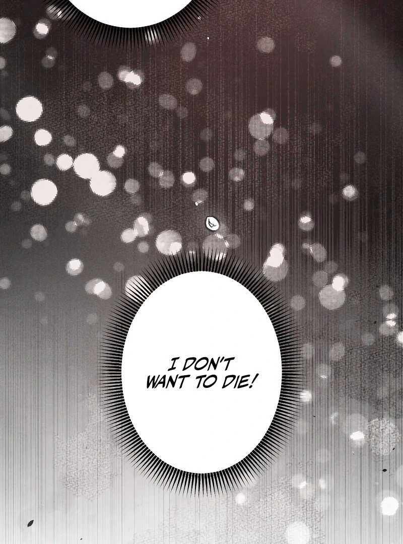 ch 3 23