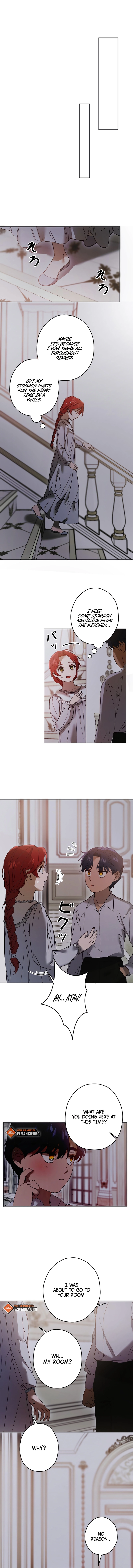 ch 4 11
