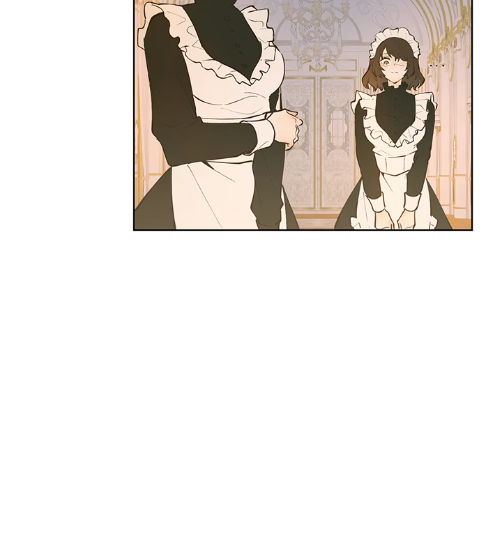 ch 1 88