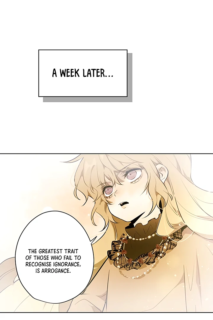 ch 19 22