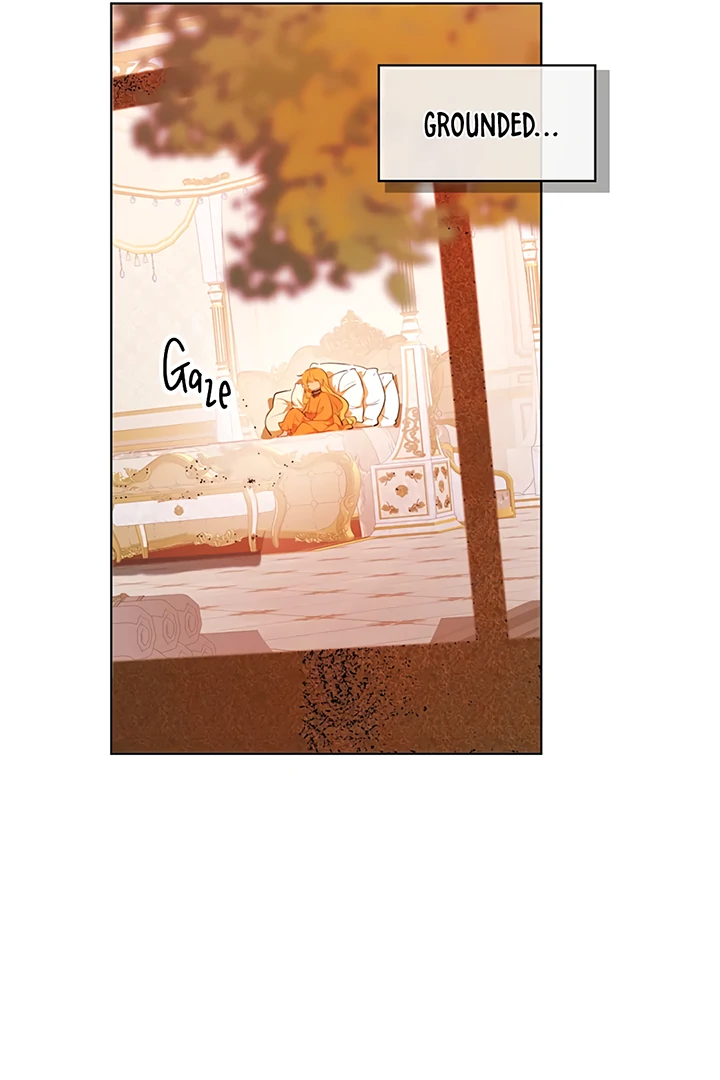 ch 19 8