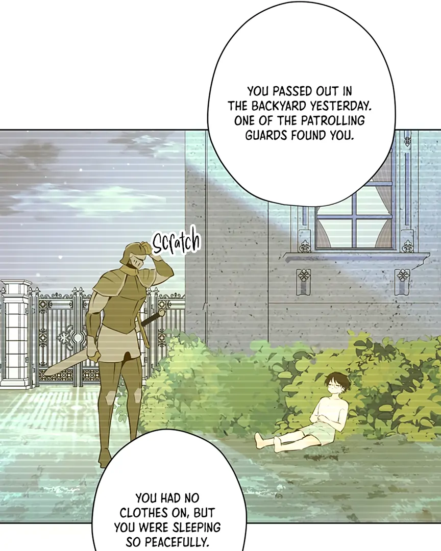 ch 20 31