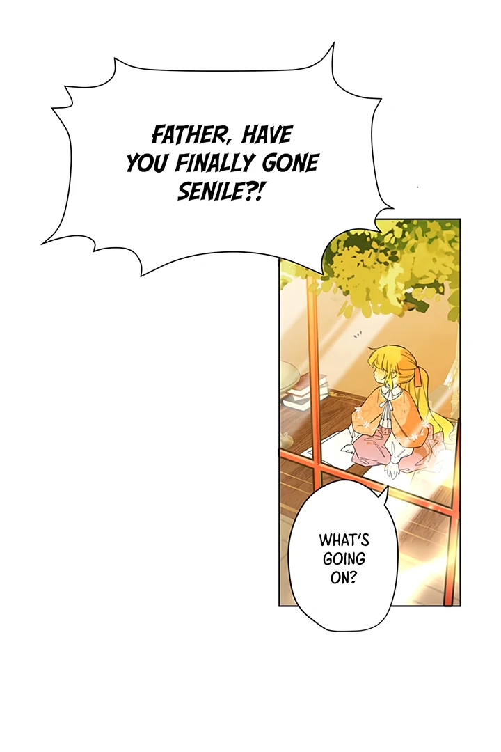 ch 26 29