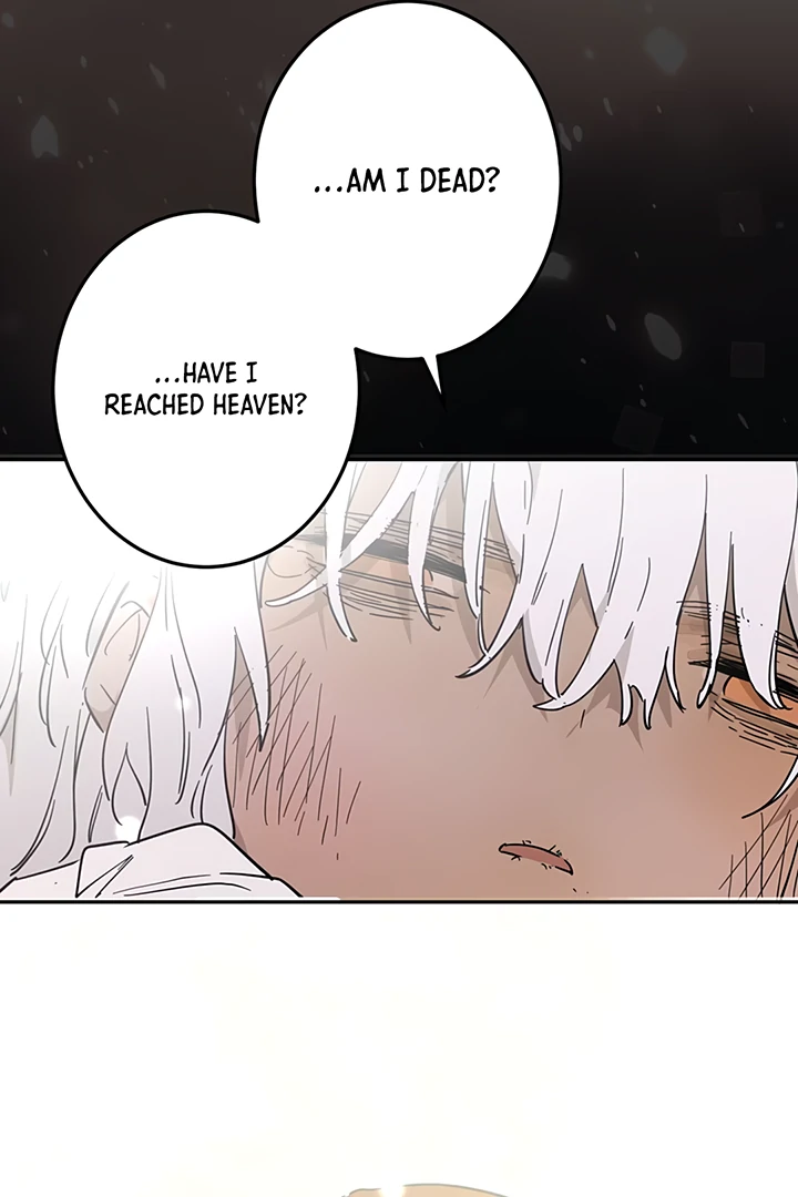 ch 31 101