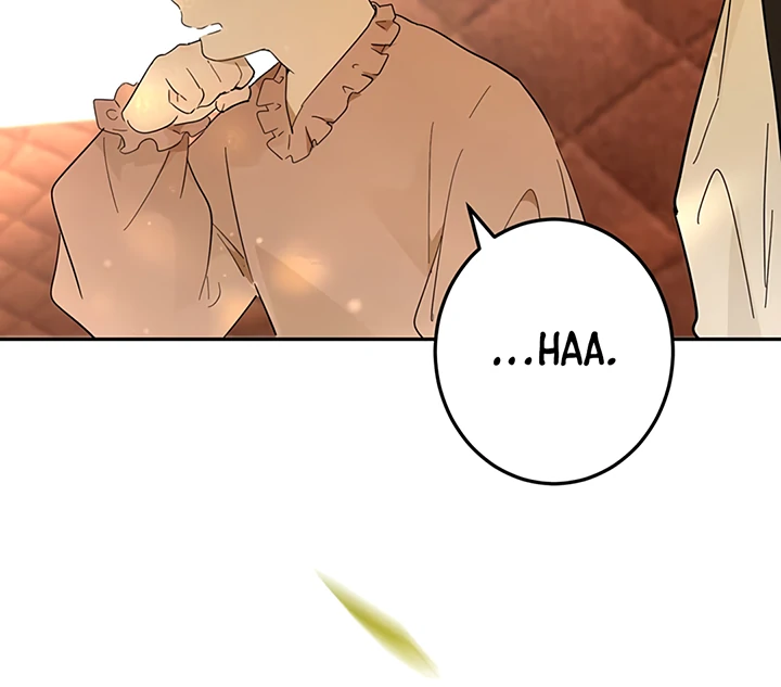 ch 34 14