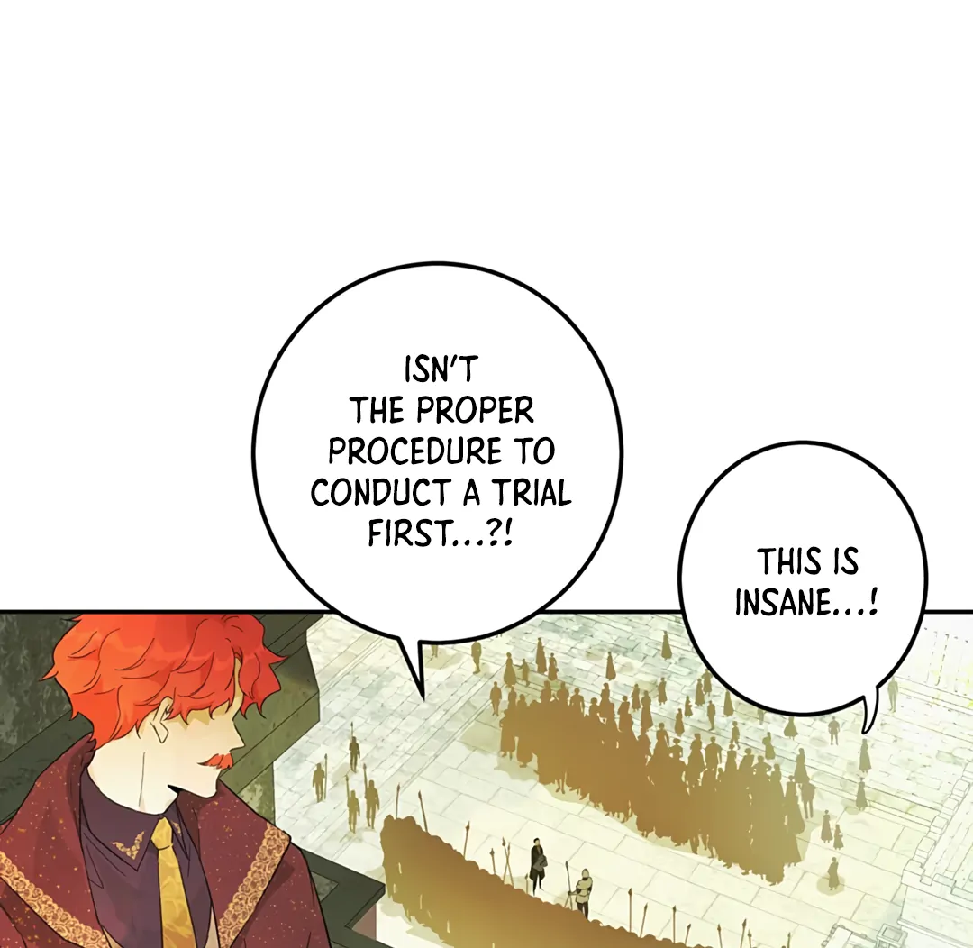 ch 35 16