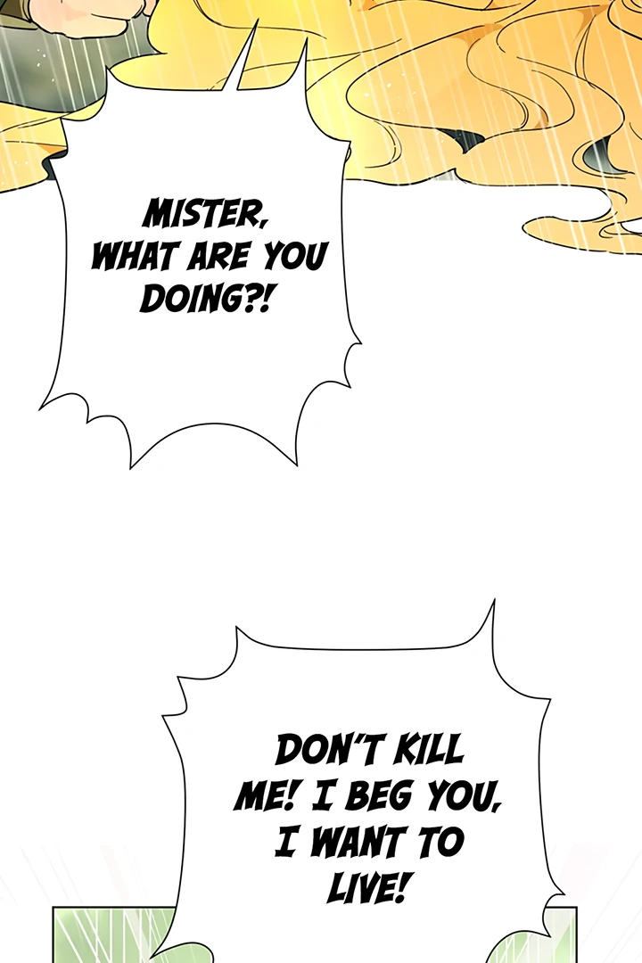 ch 36 52