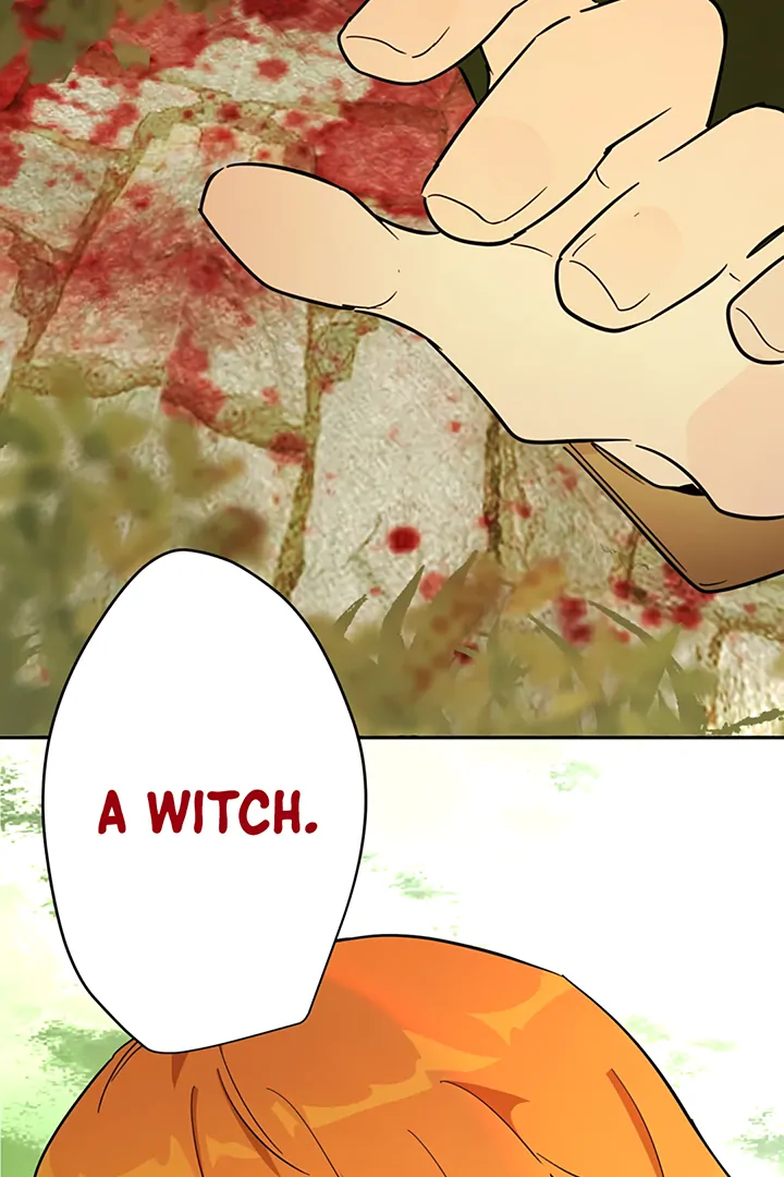 ch 36 63