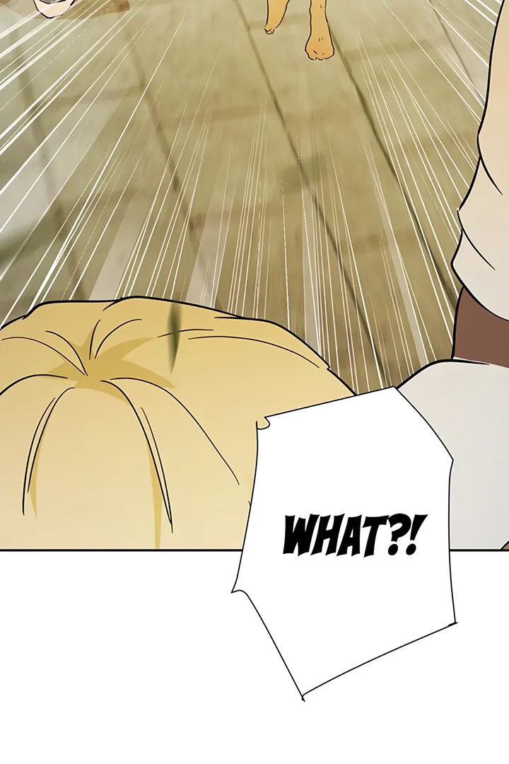 ch 38 115