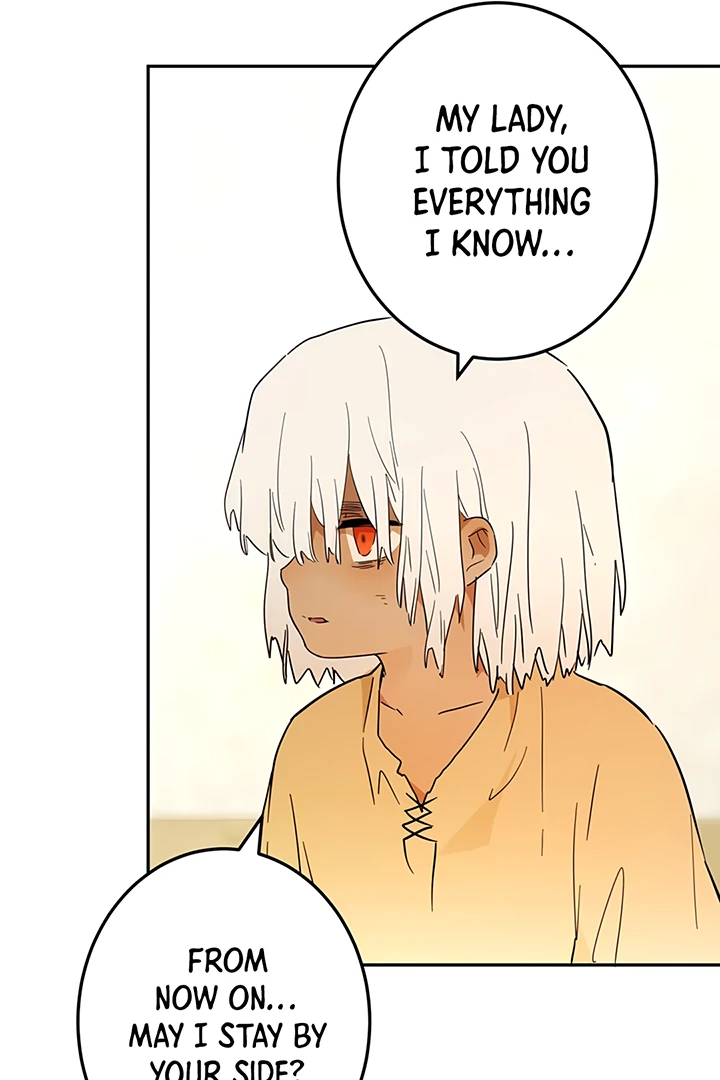 ch 41 101