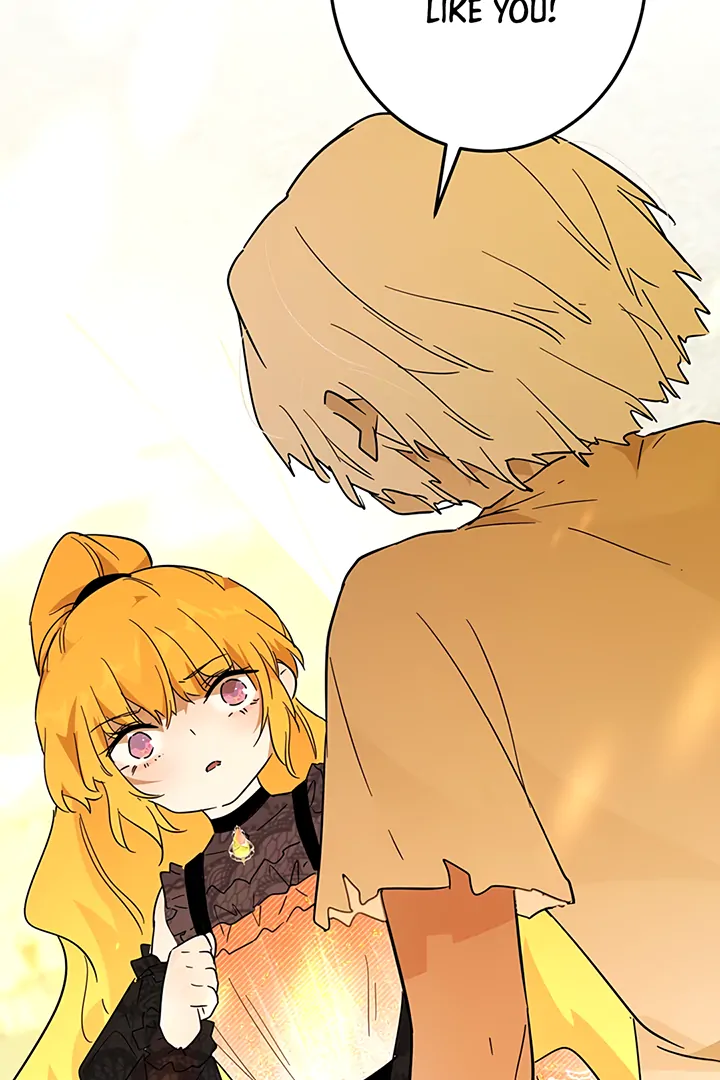 ch 41 105