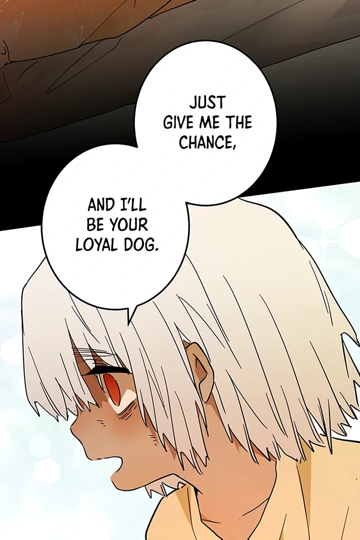 ch 41 111