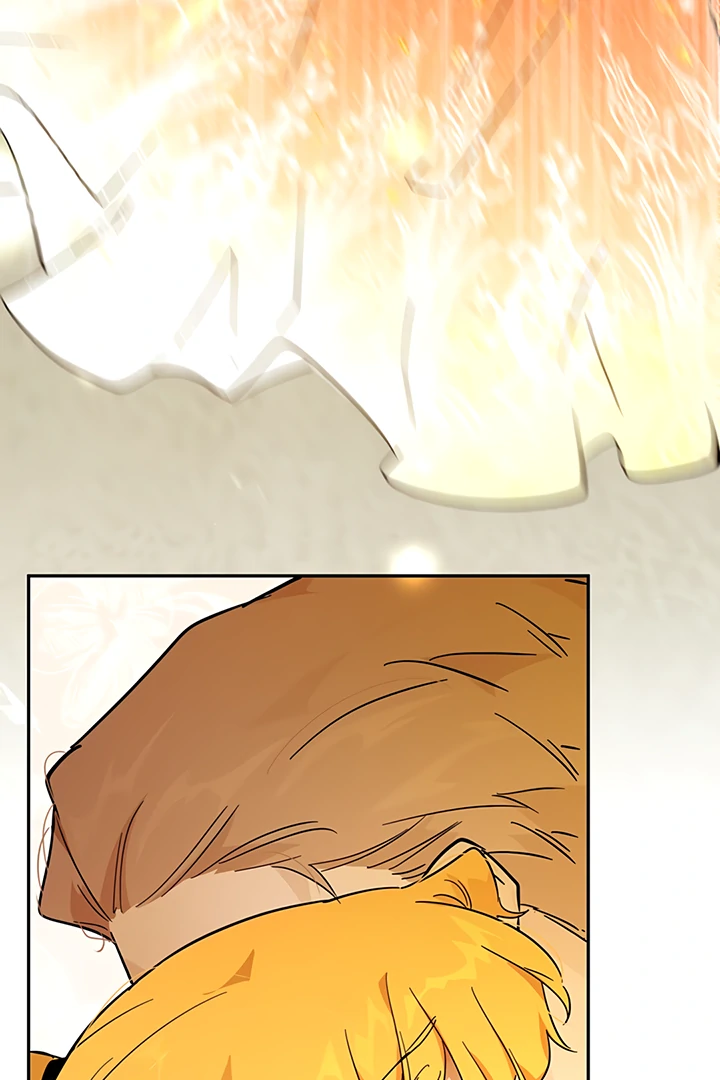 ch 41 24
