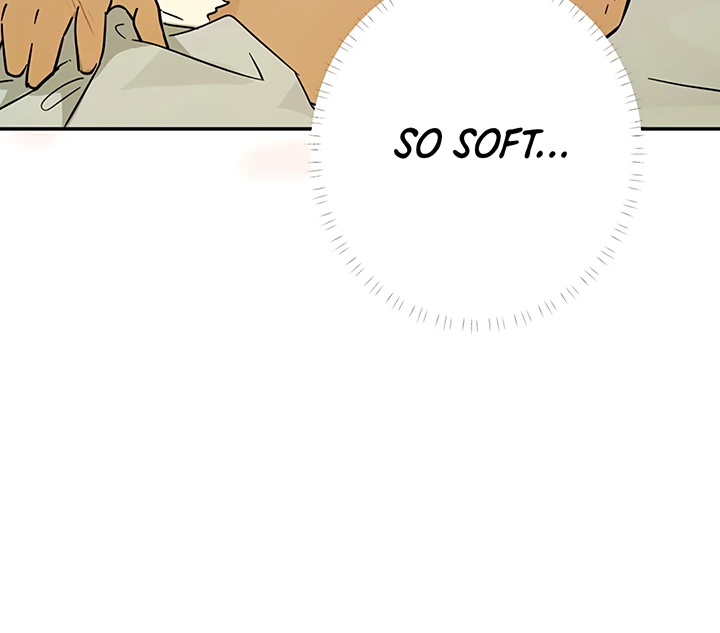 ch 41 35