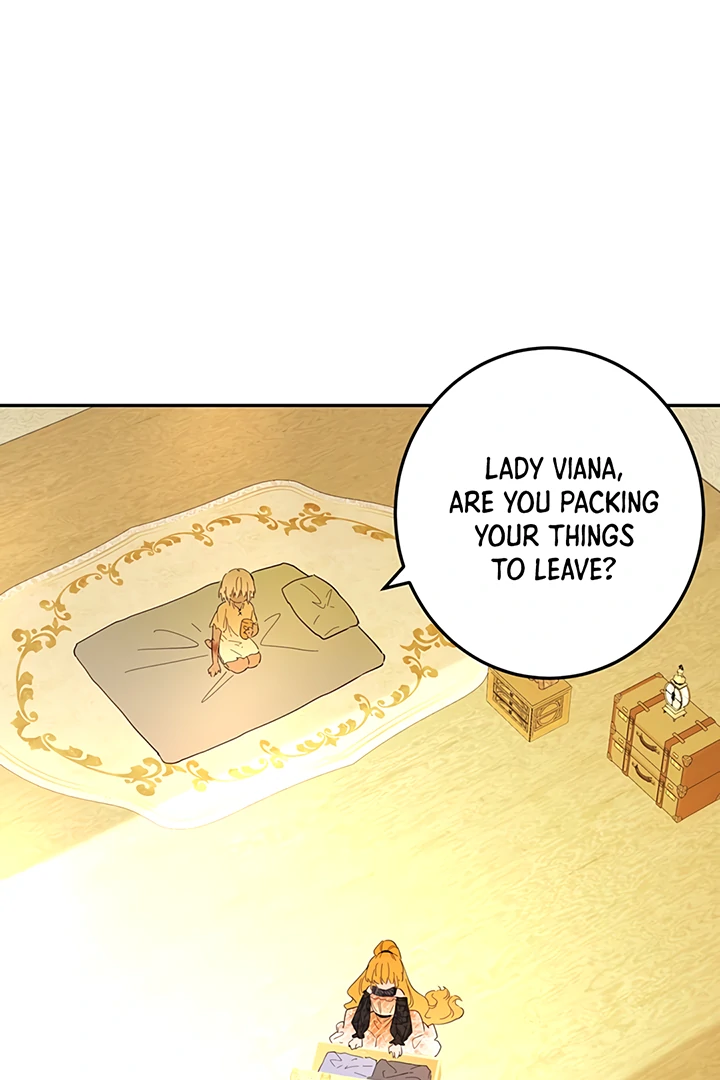ch 41 36