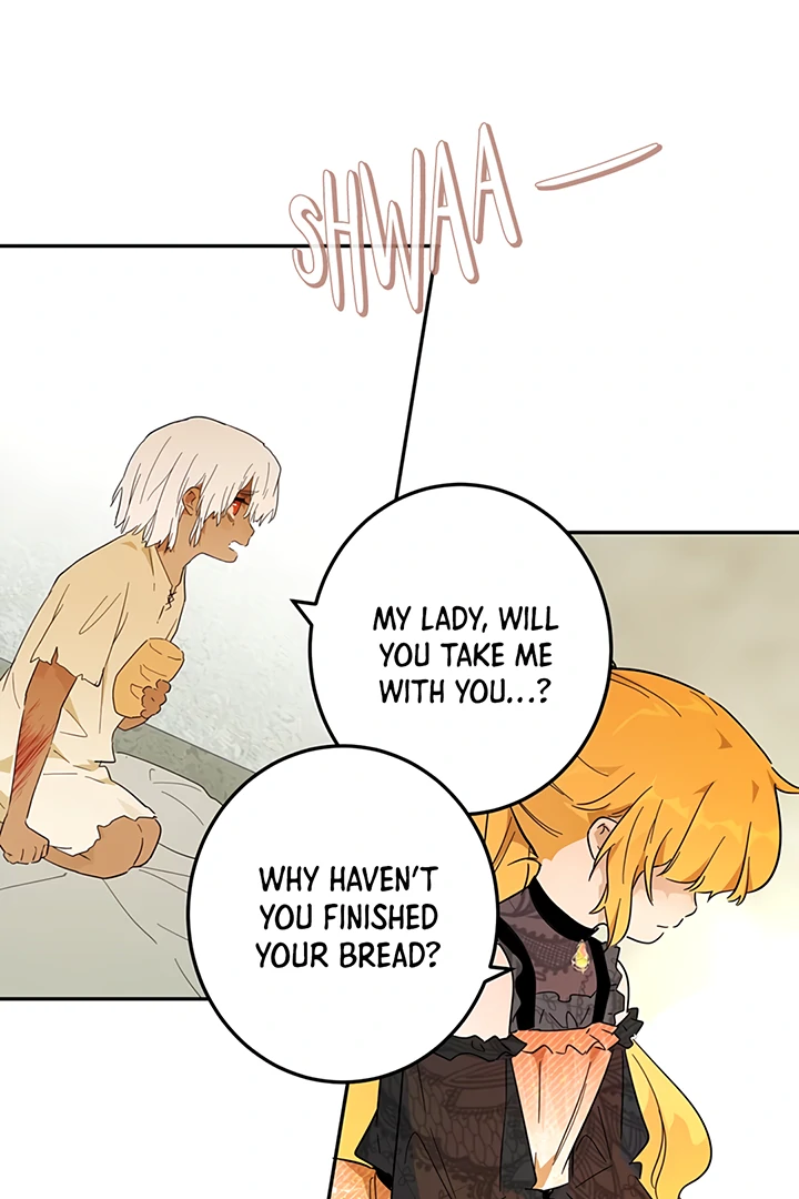 ch 41 50