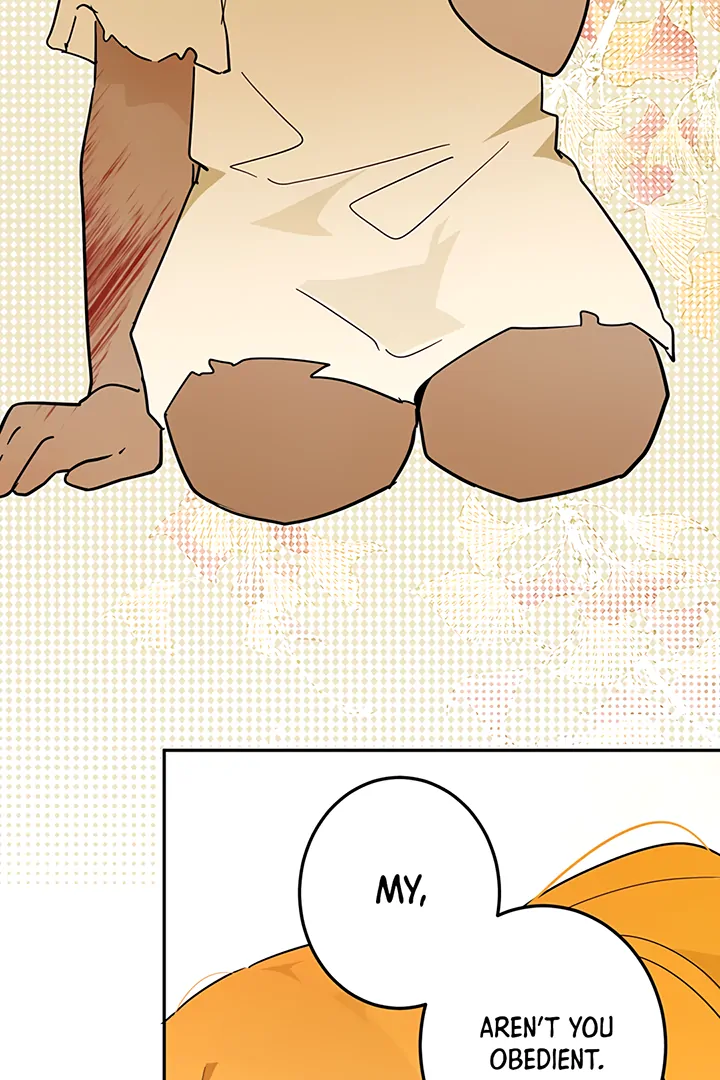 ch 41 56