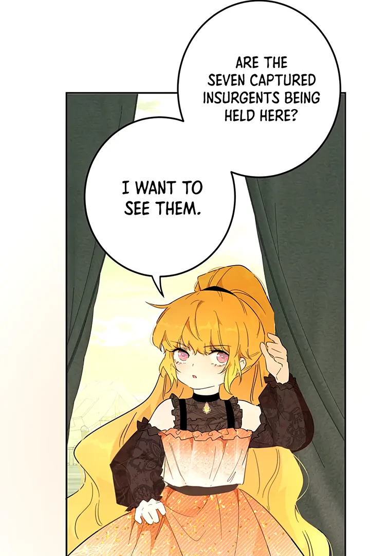 ch 41 6