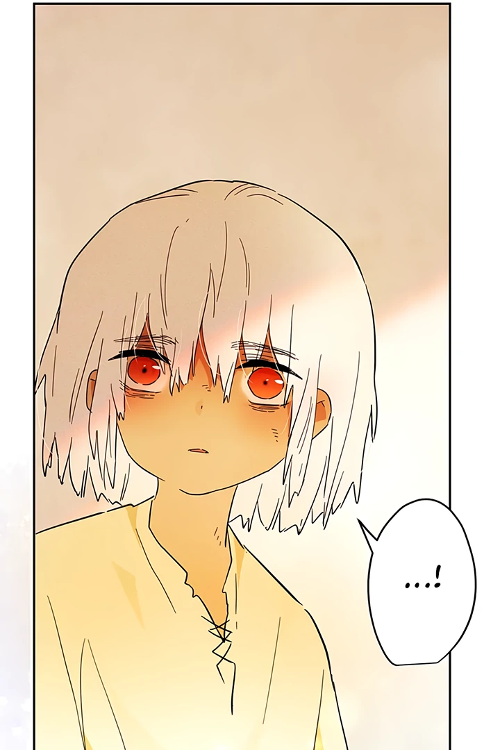 ch 41 74