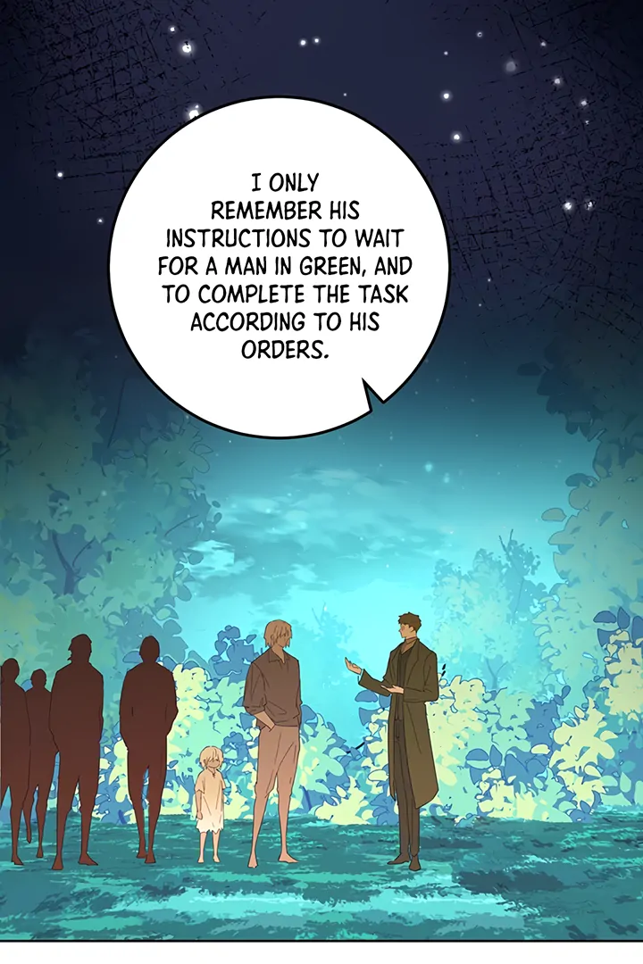 ch 41 81