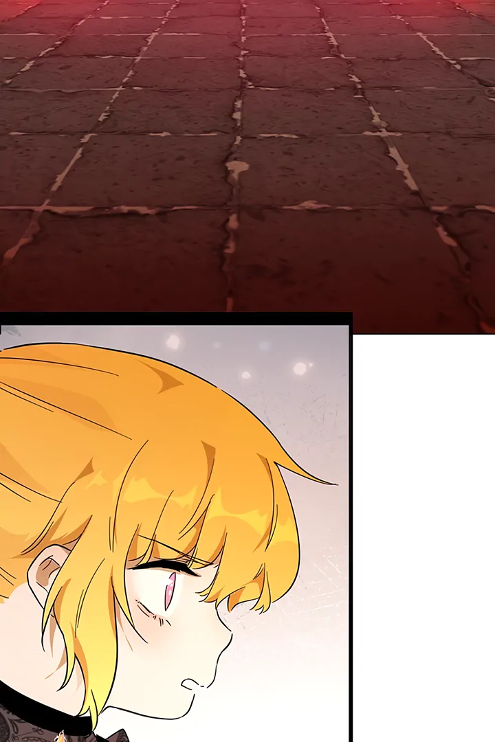 ch 41 88