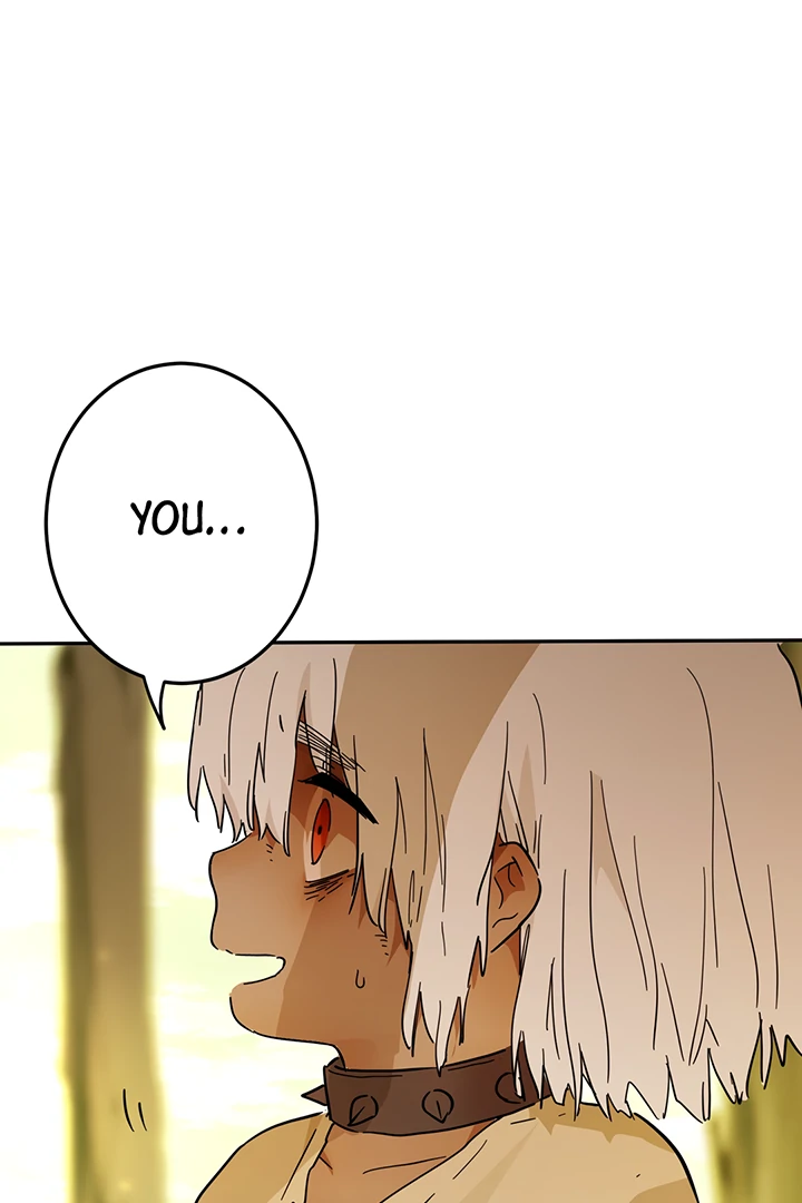 ch 42 13