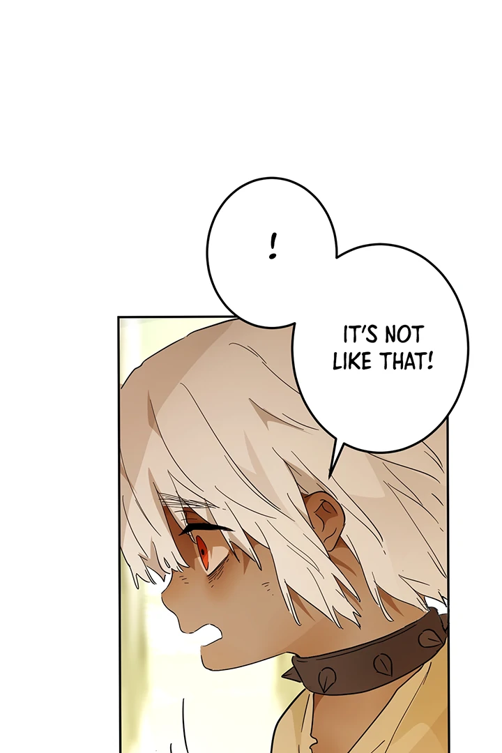ch 42 19