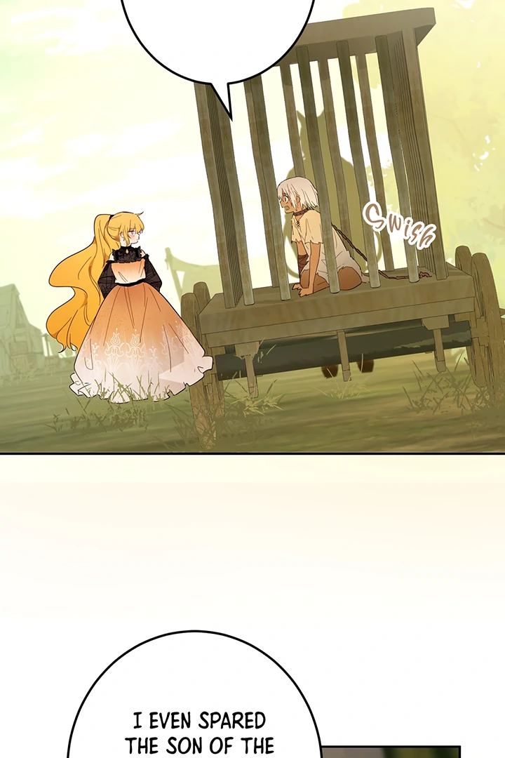 ch 42 28