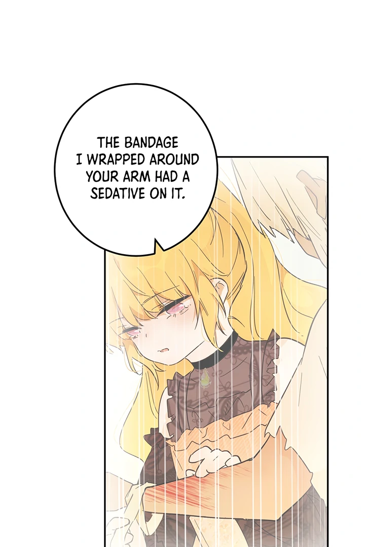 ch 42 3