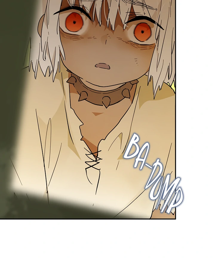 ch 42 48
