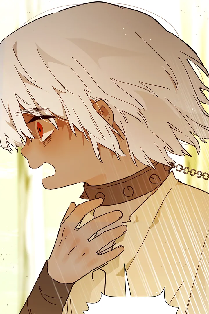ch 42 6