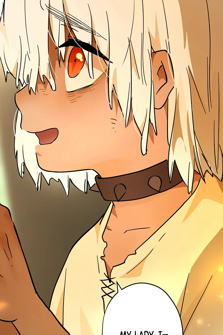 ch 42 64