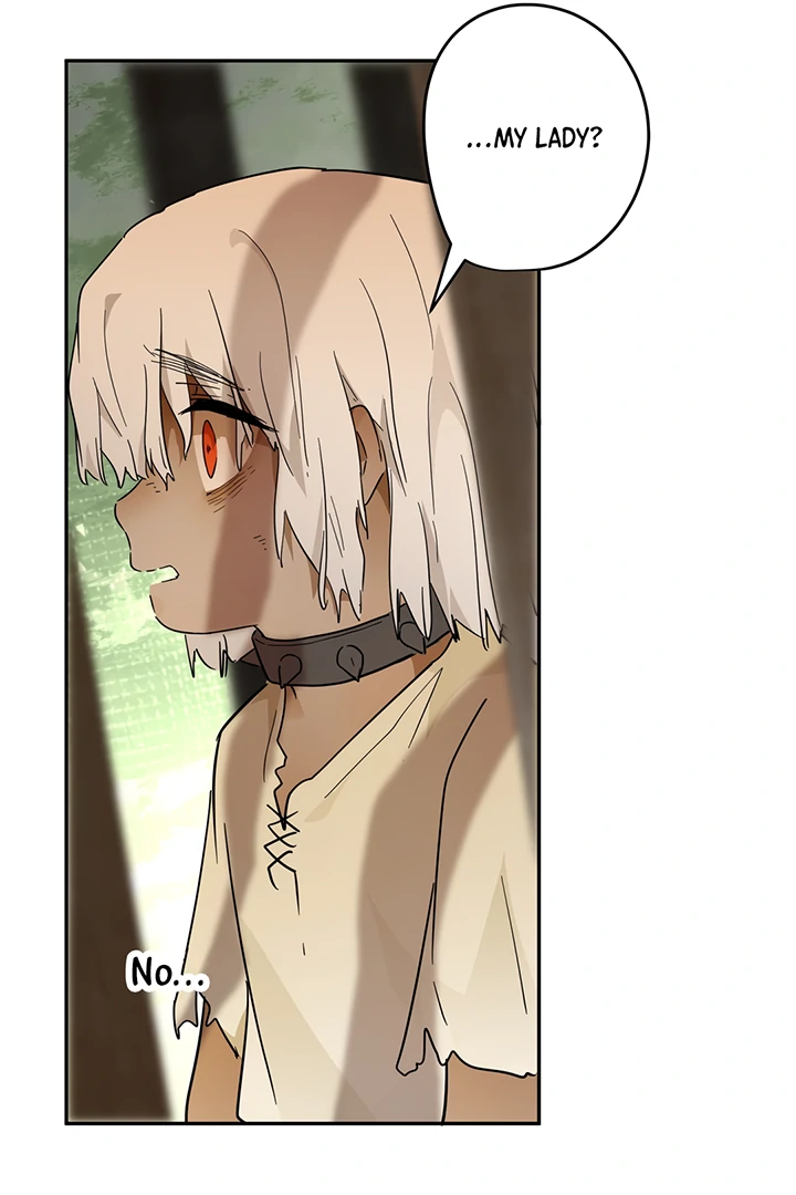 ch 42 70
