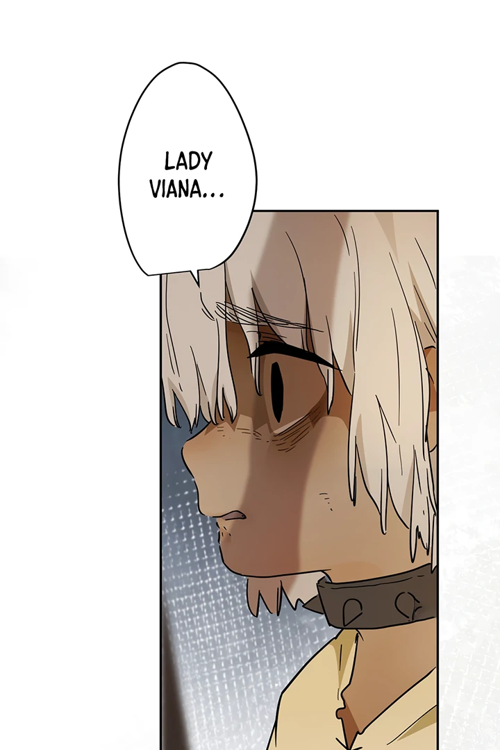 ch 42 71