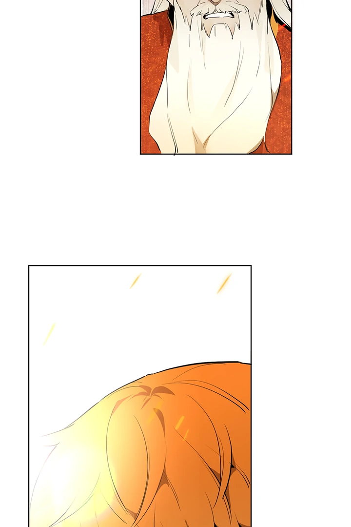 ch 8 65