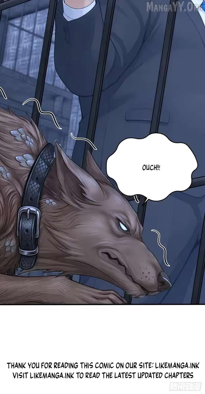 ch 146 68
