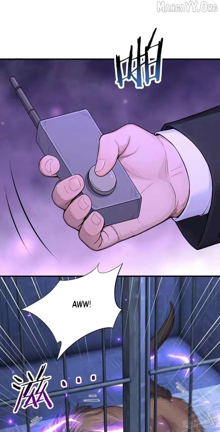 ch 146 69